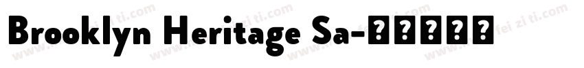 Brooklyn Heritage Sa字体转换